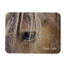 Horse eye Premium Magnet