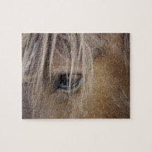 Horse eye Puzzle