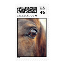Horse Eye Stamp stamps