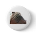 horse face buttons by kathiscc horse face buttons
