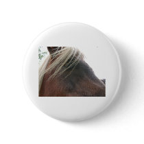 horse face buttons by kathiscc horse face buttons