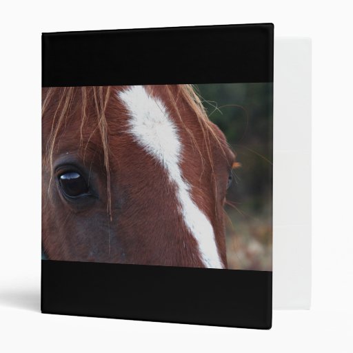 Horse Face Closeup Binders