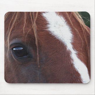 Horse Face Closeup Mousepads