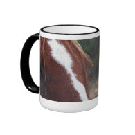Horse Face Closeup Mugs