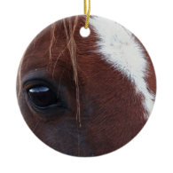 Horse Face Closeup Ornaments