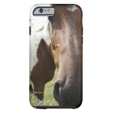 Horse Face Iphone Case