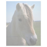 Horse face letterhead design