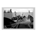 Horse Fair, County Galway, Ireland. posters