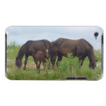 Horse Family Grazing  iTouch Case iPod Touch Cover