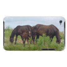 Horse Family Grazing  iTouch Case iPod Touch Cover
