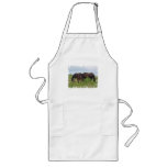Horse Family Grazing Long Apron