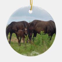 Horse Family Grazing Ornament