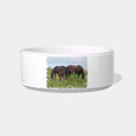 Horse Family Grazing Pet Bowl Cat Water Bowl