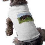 Horse Family Grazing Pet Shirt