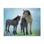 HORSE FAMILY POSTCARDS