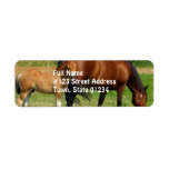 Horse Family Return Address Label