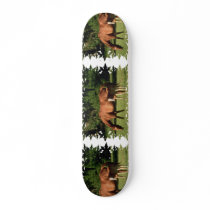Horse Family Skateboard