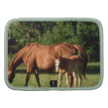 Horse Family Wallet Folio Folio Planners