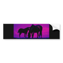 Horse & Filly bumper stickers