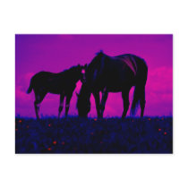 Horse & Filly Postcard