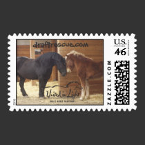 Horse First Class Stamp stamps