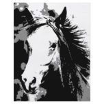 Horse Flyers