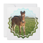 Horse Foal Invitation
