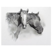 HORSE: FOAL: PENCIL ART: REALISM letterhead by joyart HORSE: FOAL: PENCIL ART: REALISM letterhead