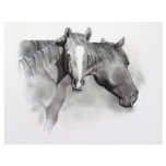 HORSE: FOAL: PENCIL ART: REALISM LETTERHEAD TEMPLATE