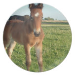 Horse Foal Plate
