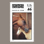 Horse & Foal postage