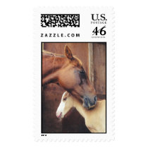 Horse & Foal postage