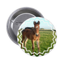 Horse Foal Round Button