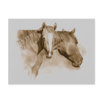 HORSE, FOAL: SEPIA: PENCIL ART postcards