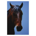 Horse for Lucy Personalized Stationery