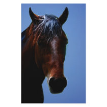 Horse for Lucy Personalized Stationery