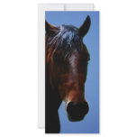 Horse for Lucy Rack Card Design