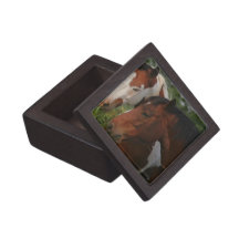 Horse Friends Gift Box Premium Gift Box