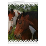 Horse Friends Greeting Card