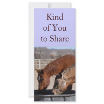 Horse Friends Share - School Rewards Bookmarks Rack Card Design