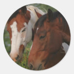 Horse Friends Sticker