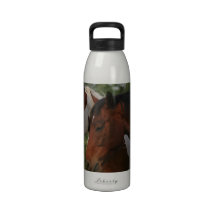 Horse Friends Water Bottle