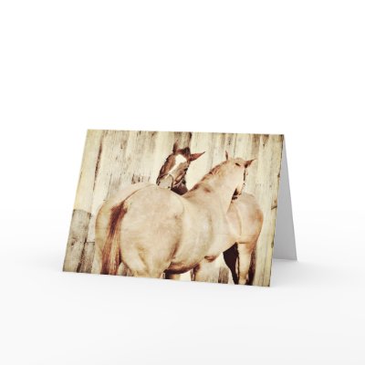 Horse+friendship