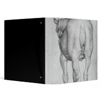 Horse, from the The Vallardi Album 3 Ring Binders