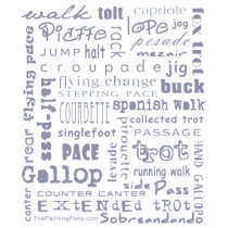 Horse Gaits t-shirts