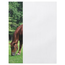 Horse Grazing in Pasture Flyer Design