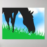 "Horse Grazing" posters
