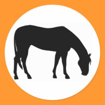 Horse Grazing stickers