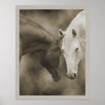 Horse Greetings posters