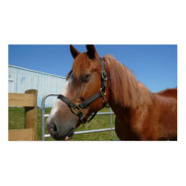 Horse Happiness Business Cards